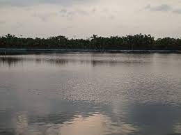 Ghansoli Lake in Ghansoli